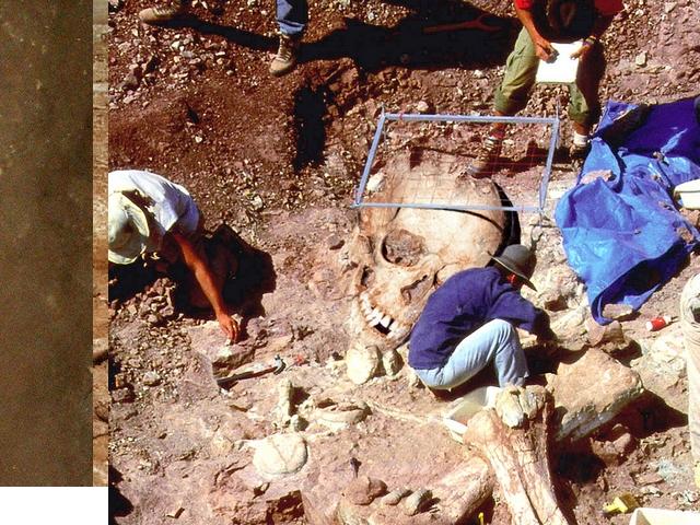 See the source image